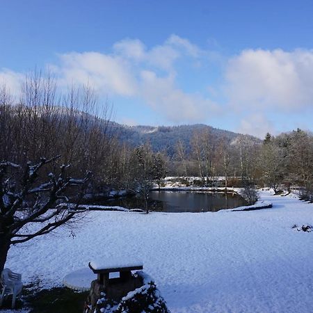 La Maison Et L'Etang - Grand Terrain Prive Vagney 外观 照片