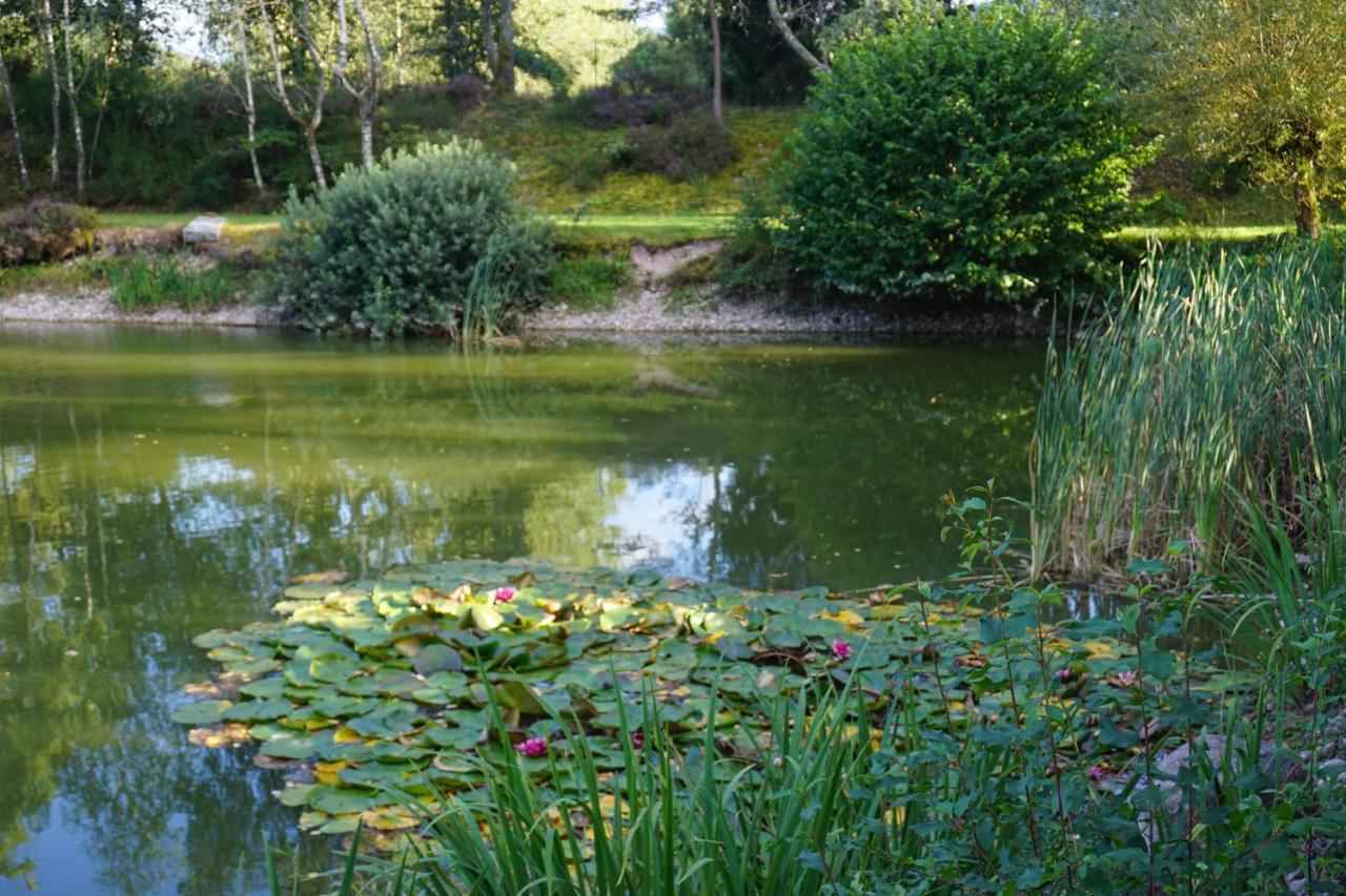 La Maison Et L'Etang - Grand Terrain Prive Vagney 外观 照片