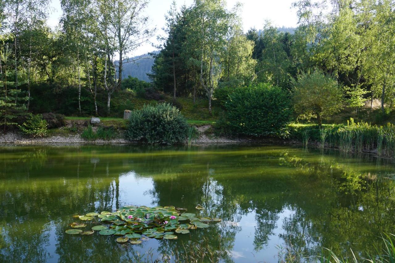 La Maison Et L'Etang - Grand Terrain Prive Vagney 外观 照片