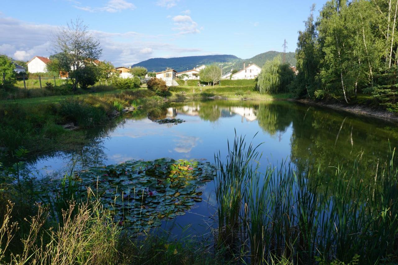La Maison Et L'Etang - Grand Terrain Prive Vagney 外观 照片