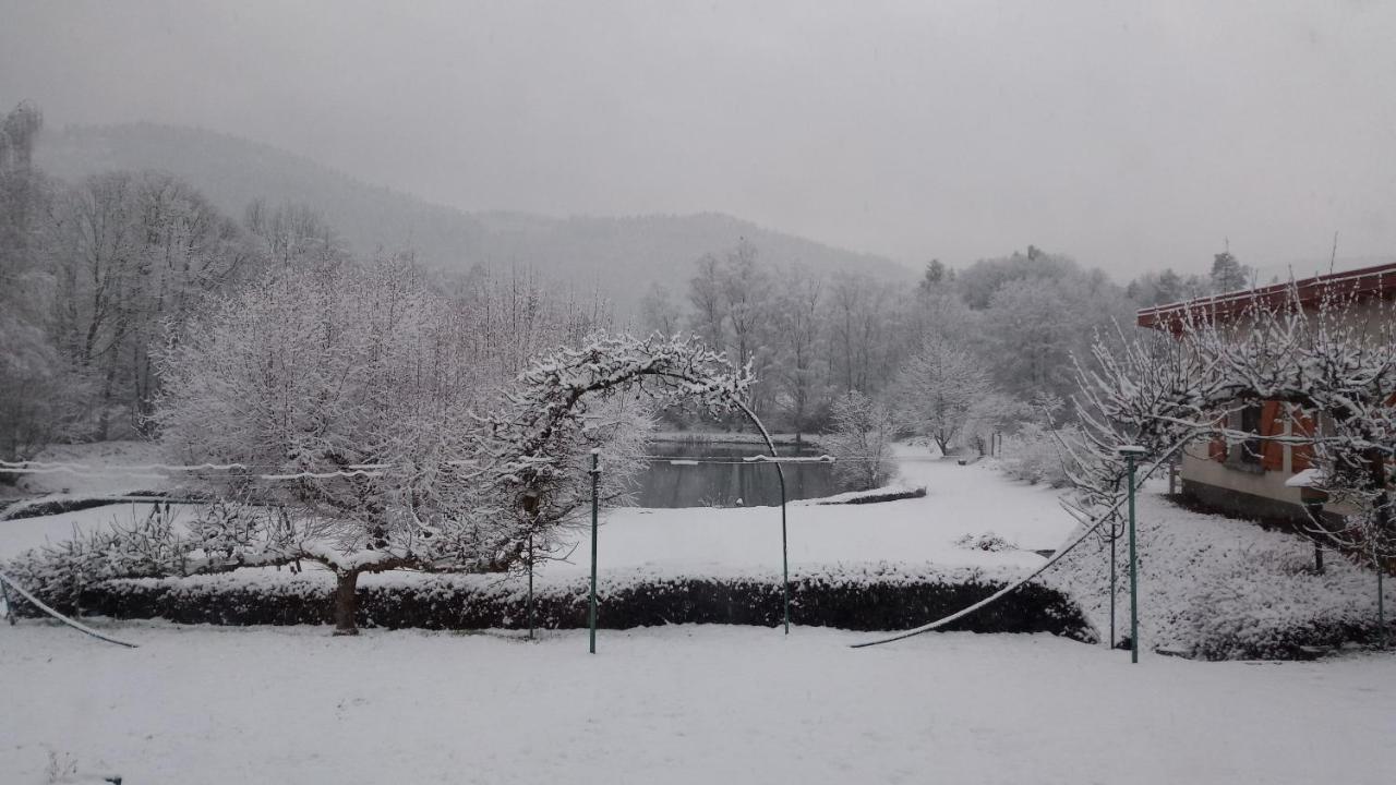 La Maison Et L'Etang - Grand Terrain Prive Vagney 外观 照片