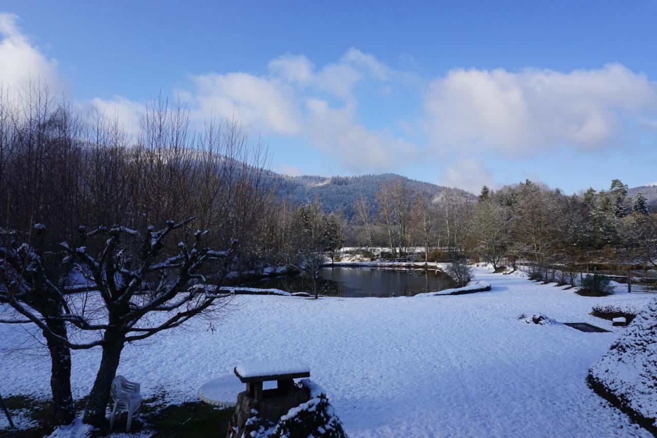 La Maison Et L'Etang - Grand Terrain Prive Vagney 外观 照片