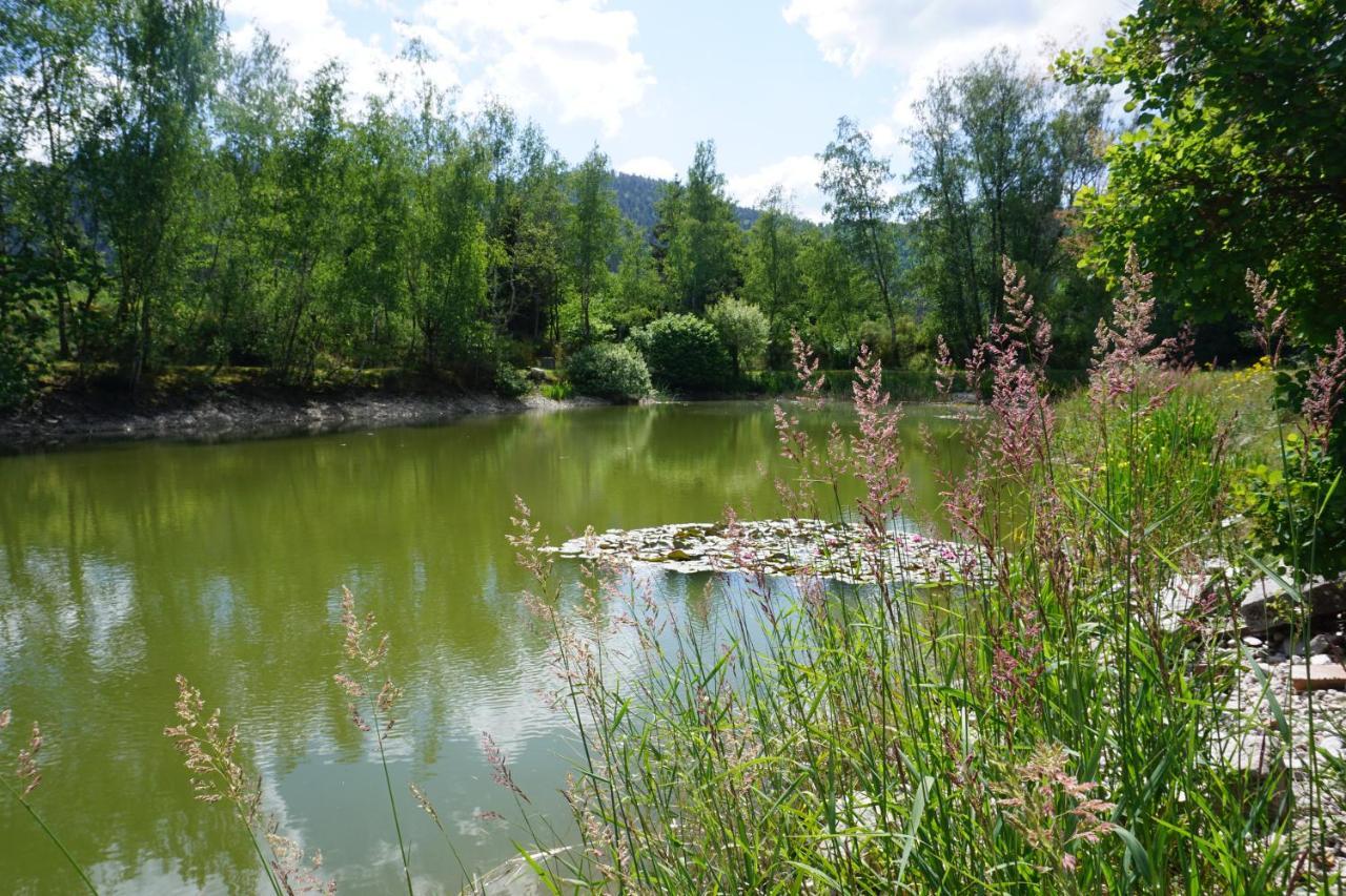 La Maison Et L'Etang - Grand Terrain Prive Vagney 外观 照片